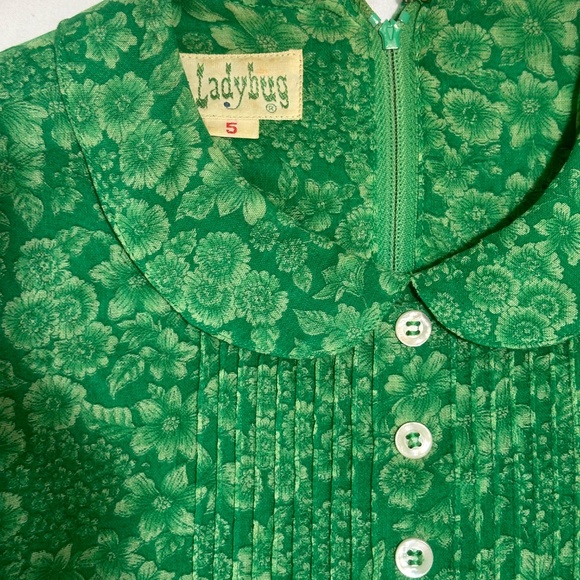 Ladybug Vintage Dress - Picture 2 of 16